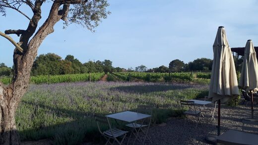 An authentic experience in the heart of the Costa Brava